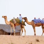 Dicas de Viagem para Dubai: Tudo o Que Você Precisa Saber para Aproveitar ao Máximo